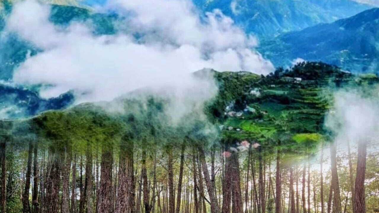 Photo of Outdoor in Kandaghat