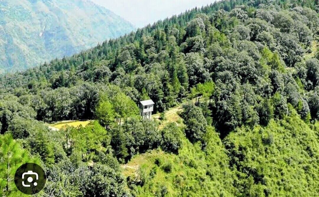 Photo of Outdoor in Kandaghat