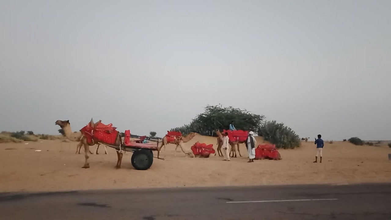 Photo of Others in Amar Sagar Pol