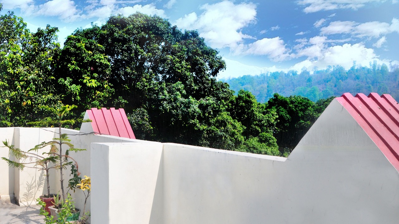 Photo of Outdoor in Ramnagar