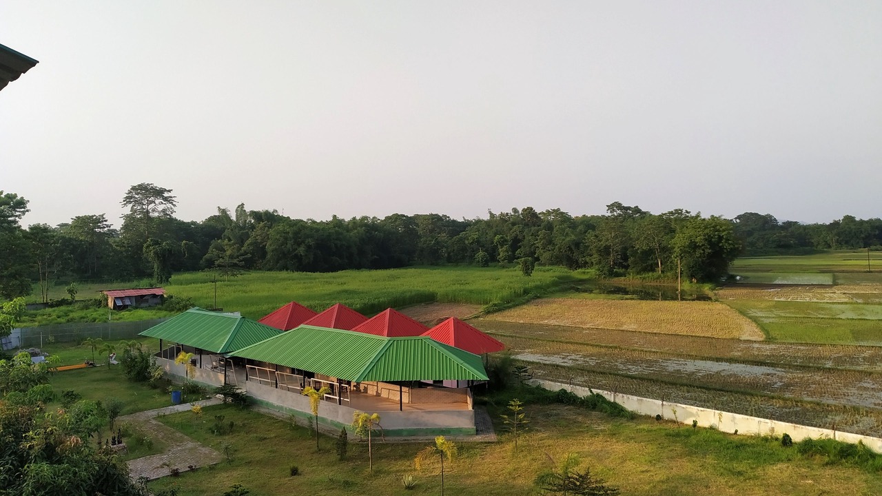 Photo of Outdoor in Samaguri