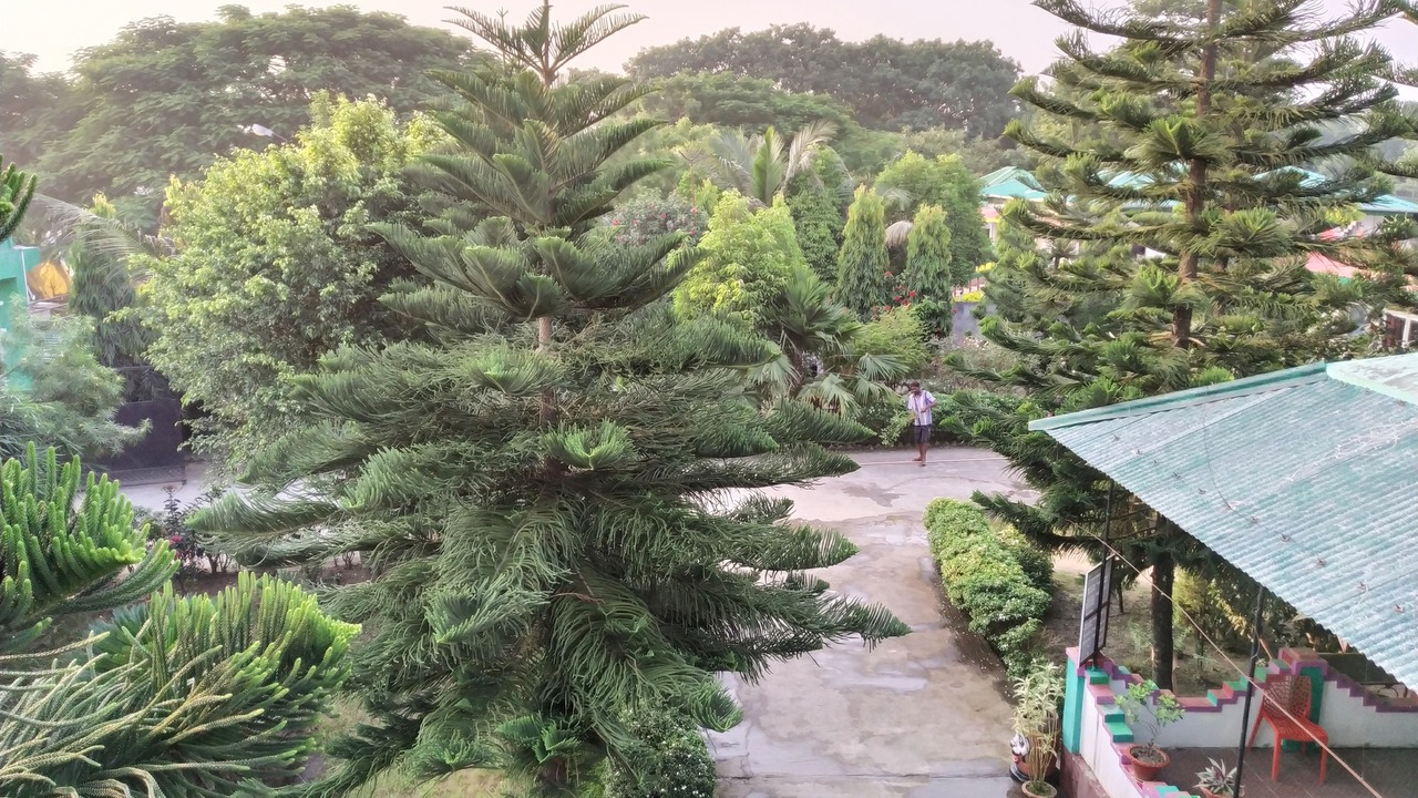 Photo of Outdoor in Samaguri