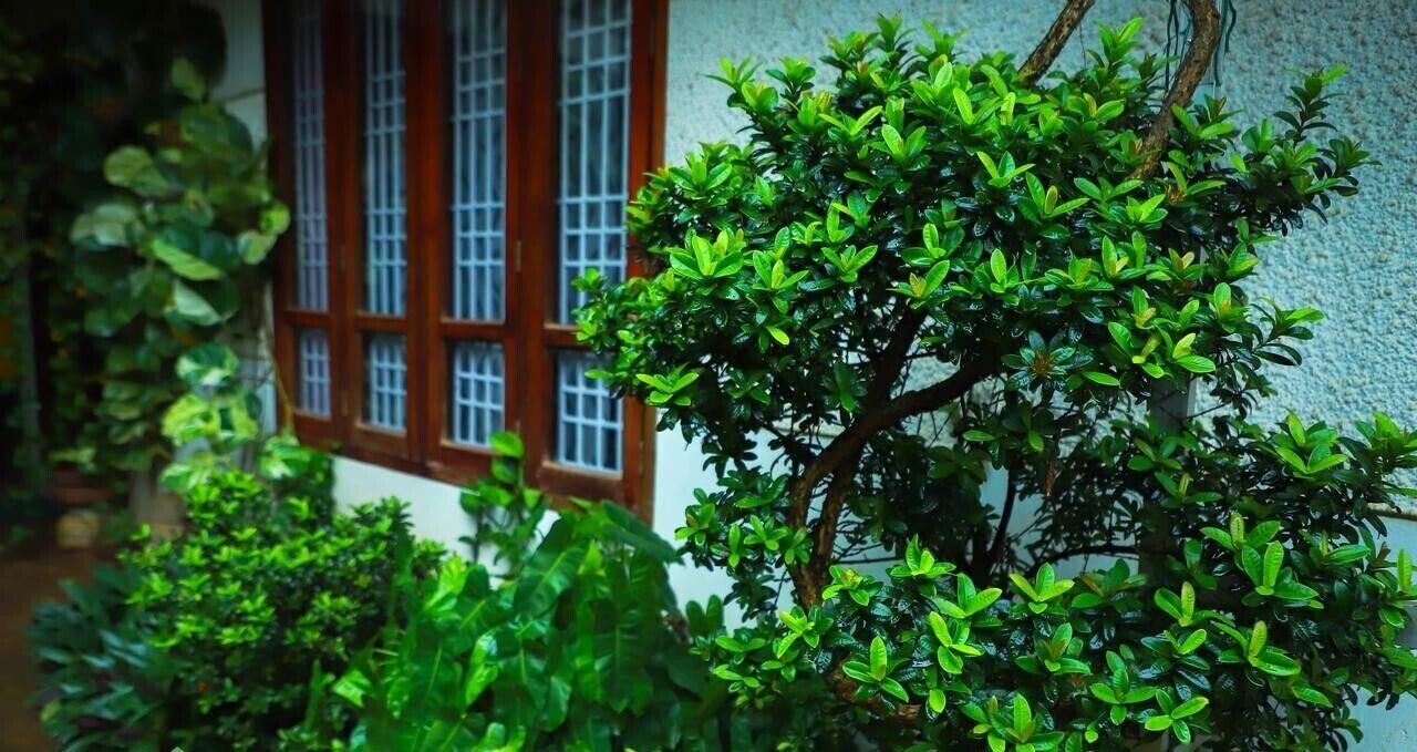 Photo of Outdoor in Thiruvananthapuram