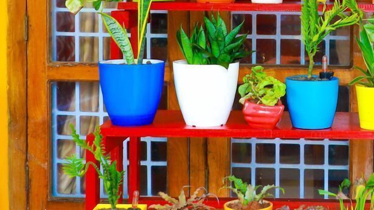 Photo of Outdoor in Thiruvananthapuram