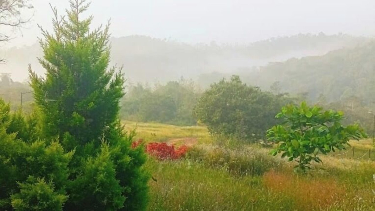 Photo of Outdoor in Sakleshpur