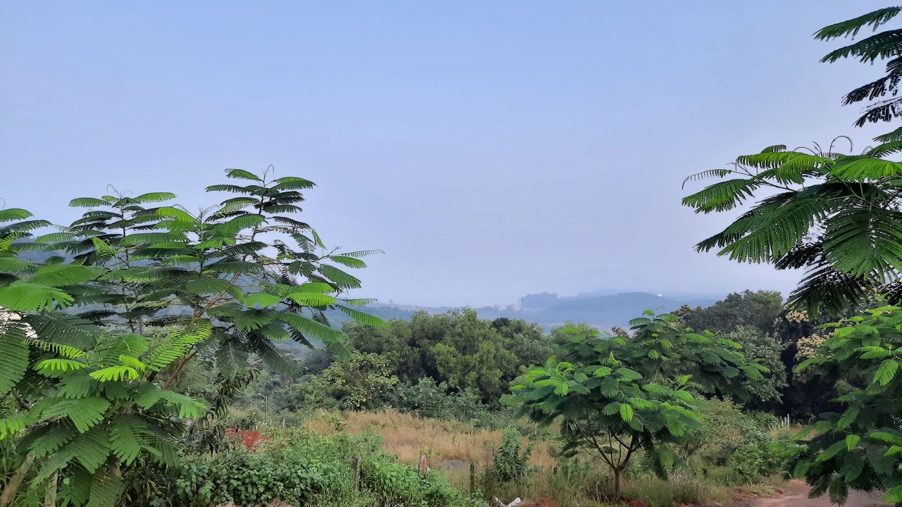 Photo of Outdoor in Mhsala