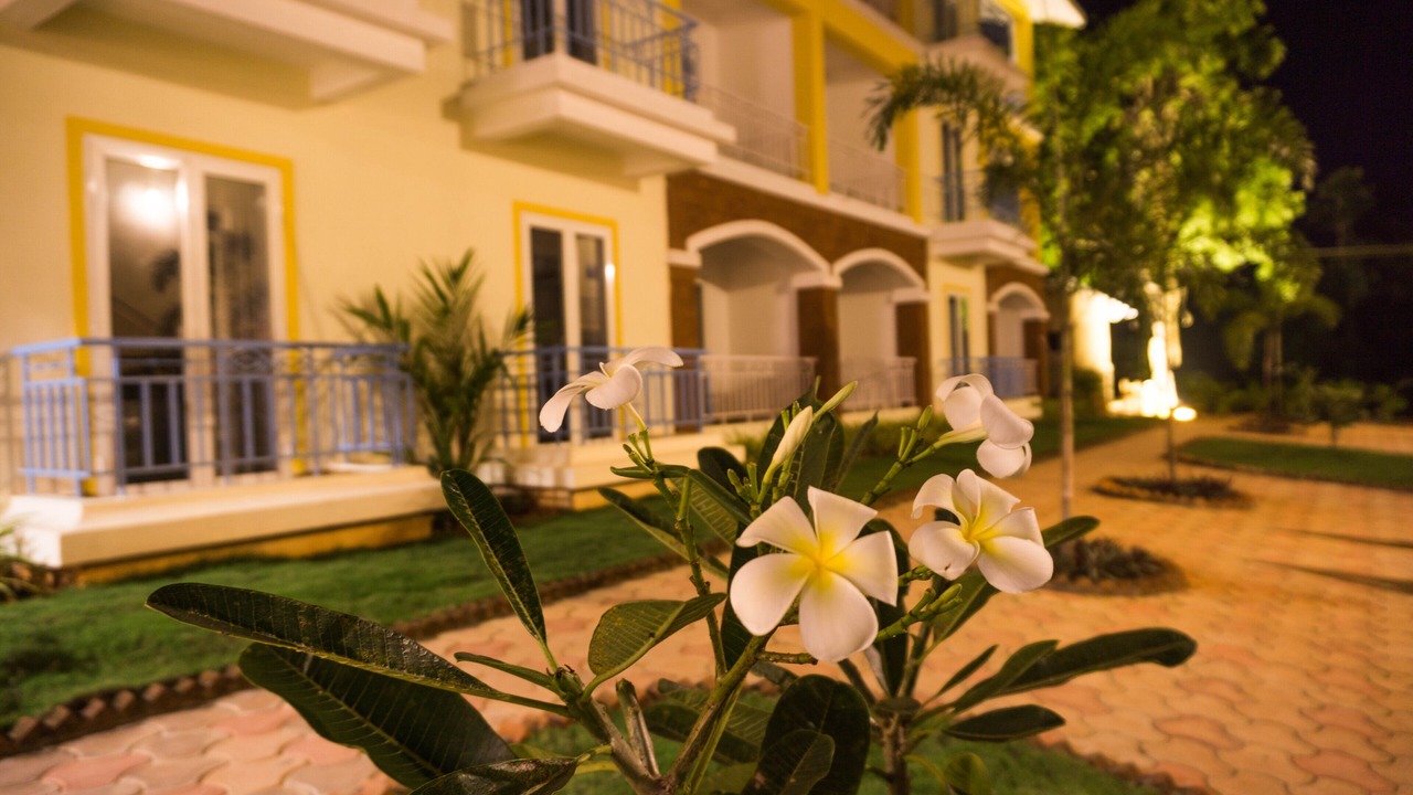 Photo of Outdoor in Anjuna