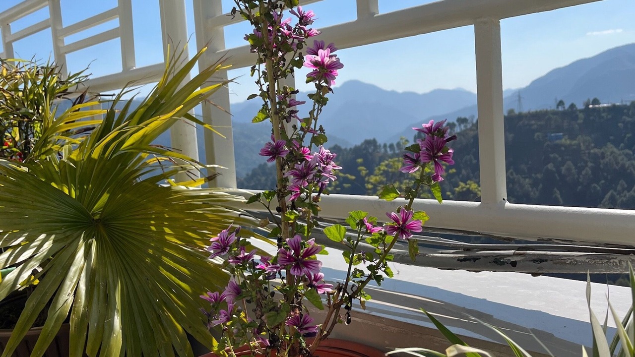 Photo of Outdoor in Chamba