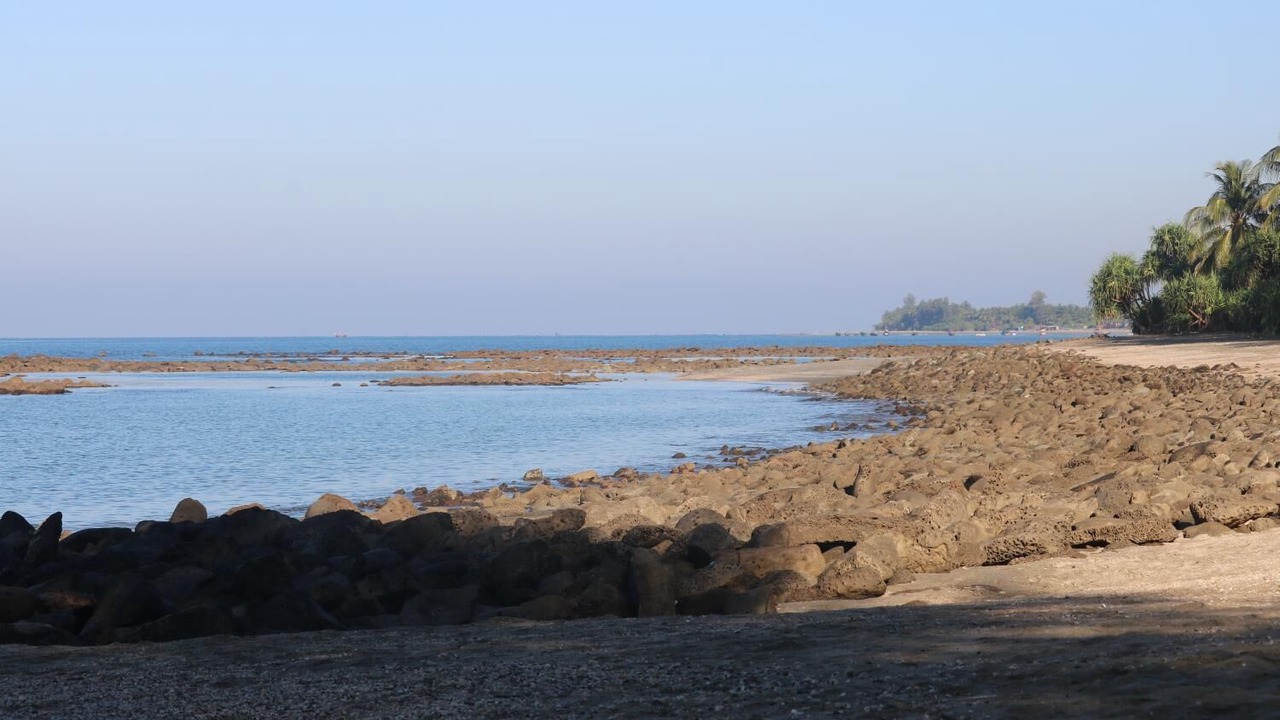 Photo of Others in Saint Martin's Island