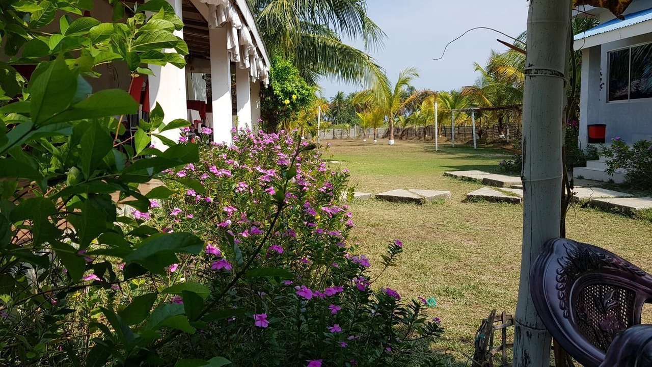 Photo of Outdoor in Saint Martin's Island