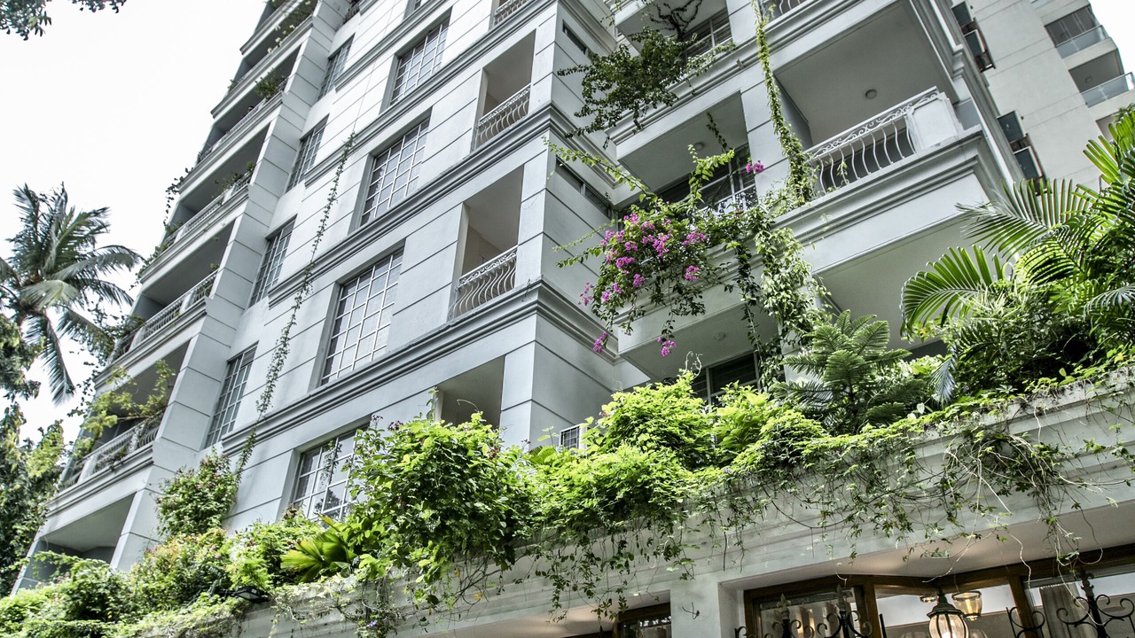 Photo of Outdoor in Gulshan