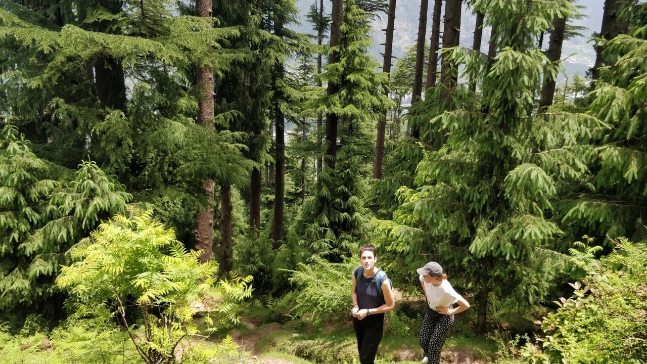 Photo of Outdoor in Old Manali