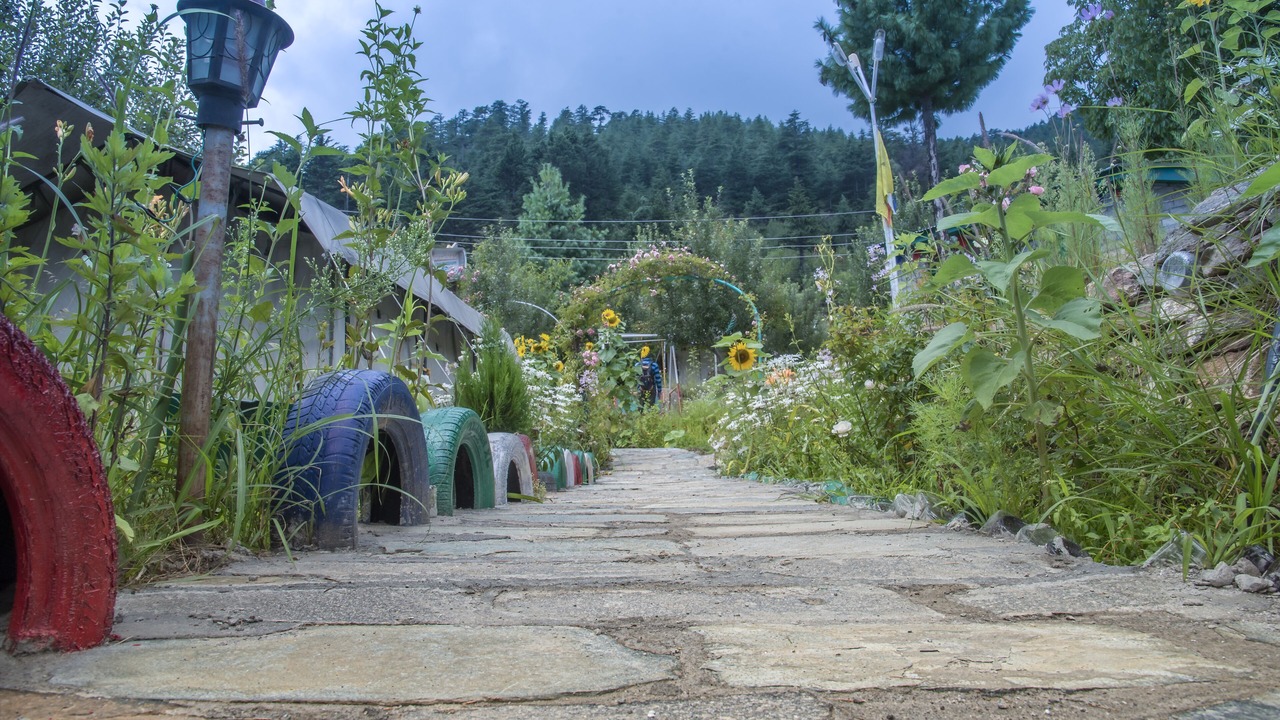 Photo of Outdoor in Kalpa