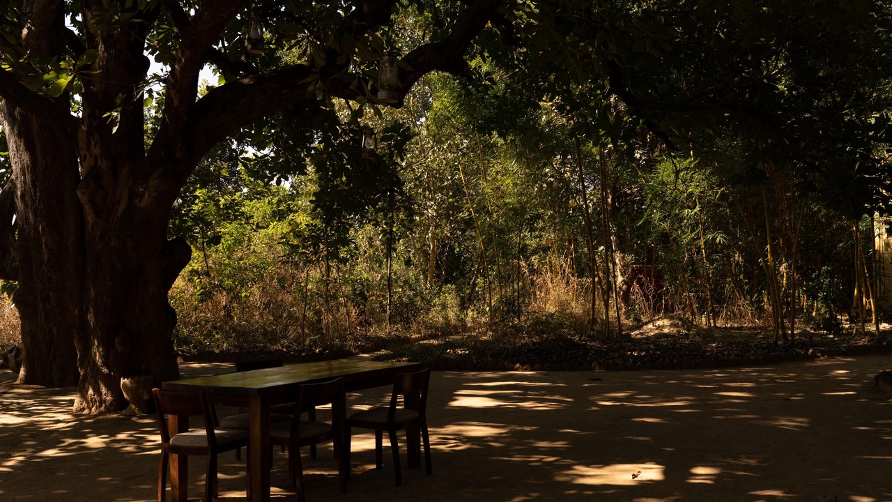 Photo of Outdoor in Umaria