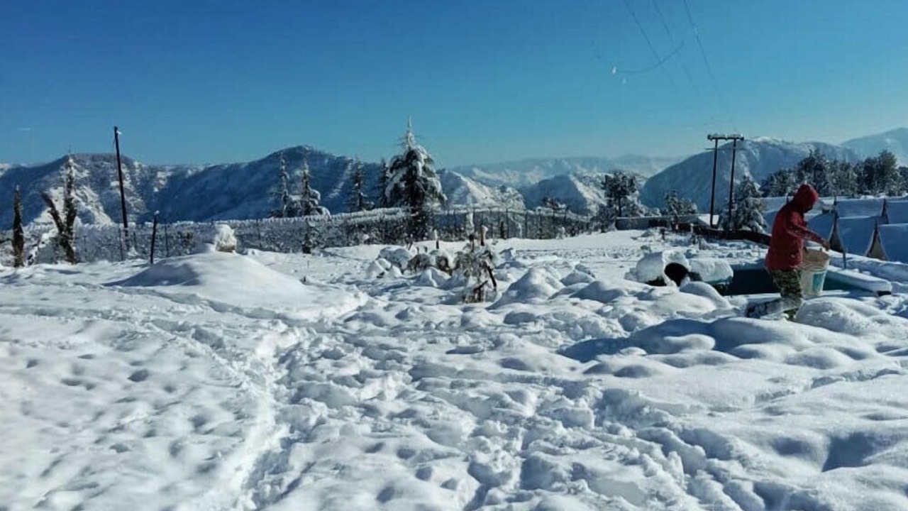 Photo of Others in Shimla