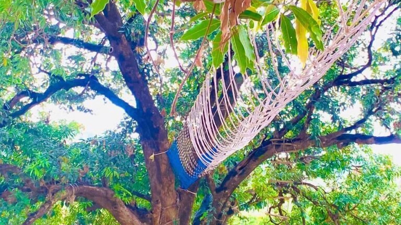 Photo of Outdoor in Kalka