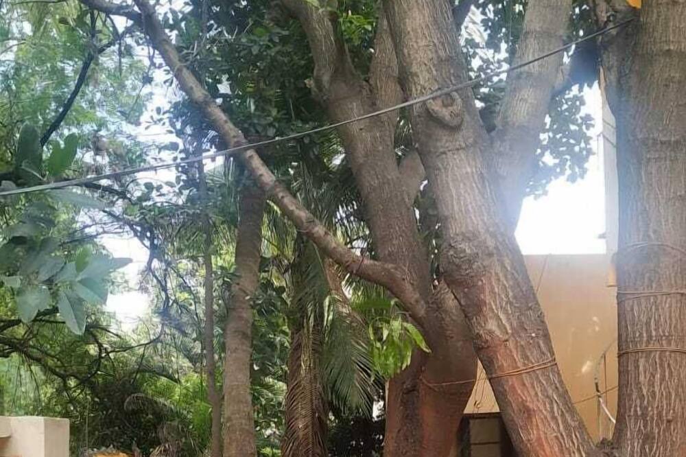Photo of Outdoor in Kothrud