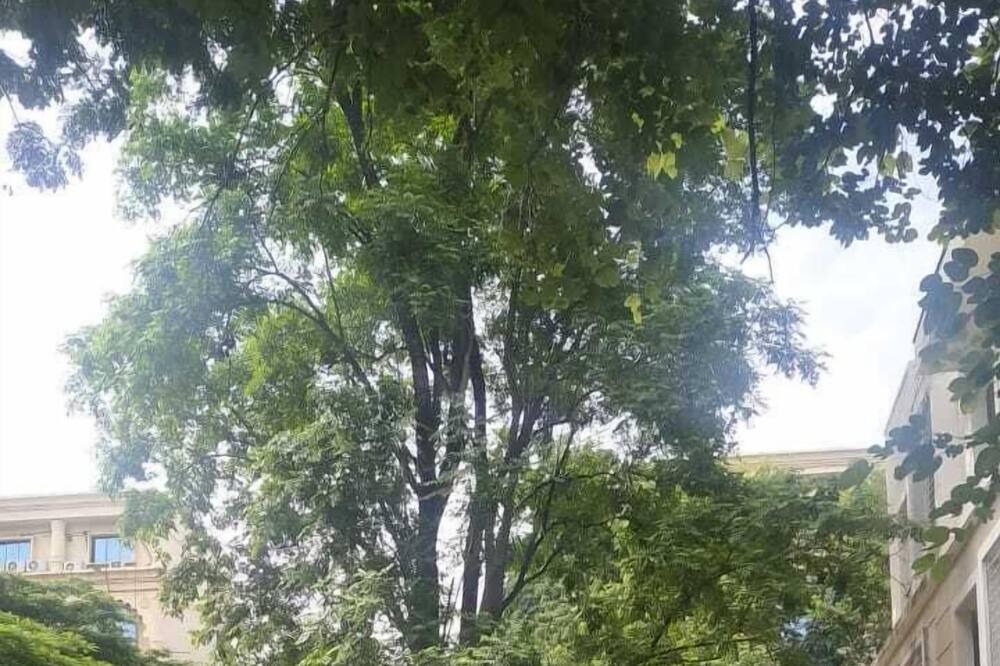 Photo of Outdoor in Kothrud