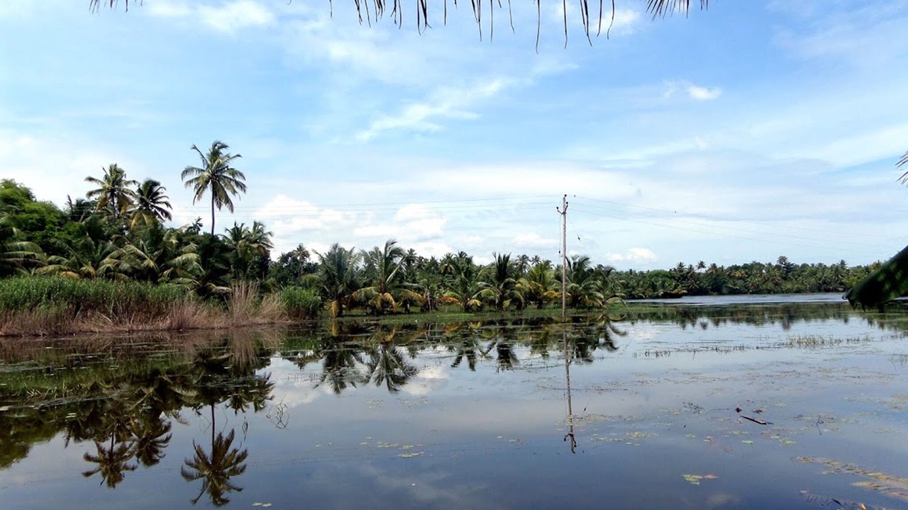 Photo of Patio Balcony in Kumarakom