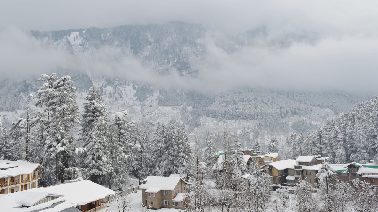 Photo of Outdoor in Old Manali