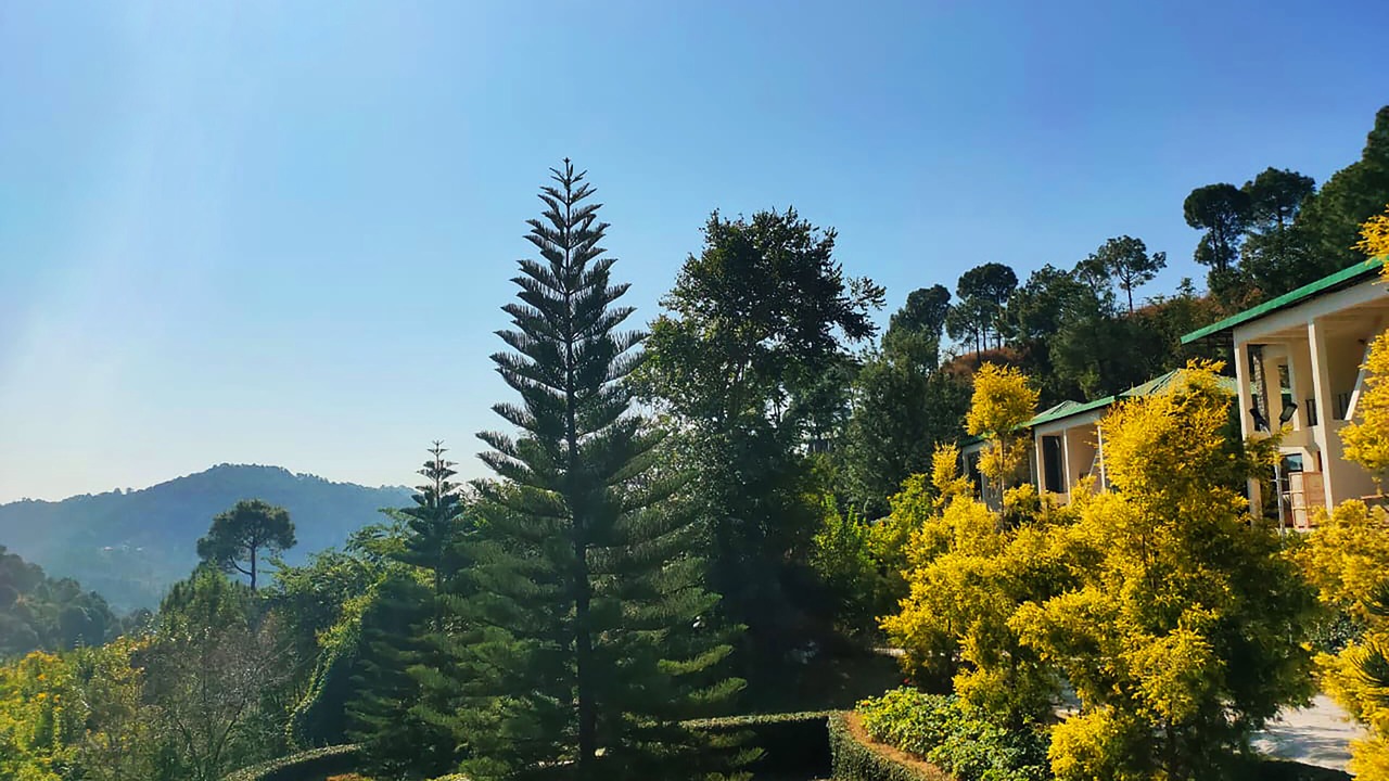 Photo of Outdoor in Kumarhatti