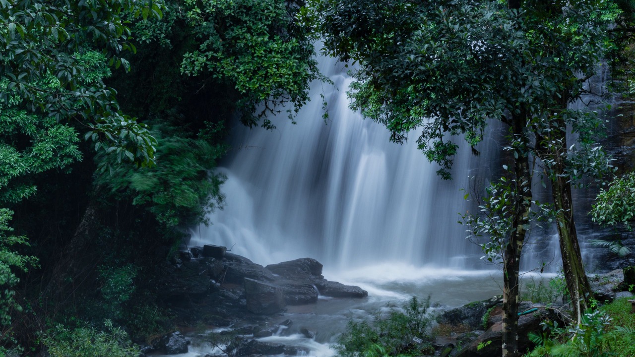 Photo of Outdoor in Kumaralli