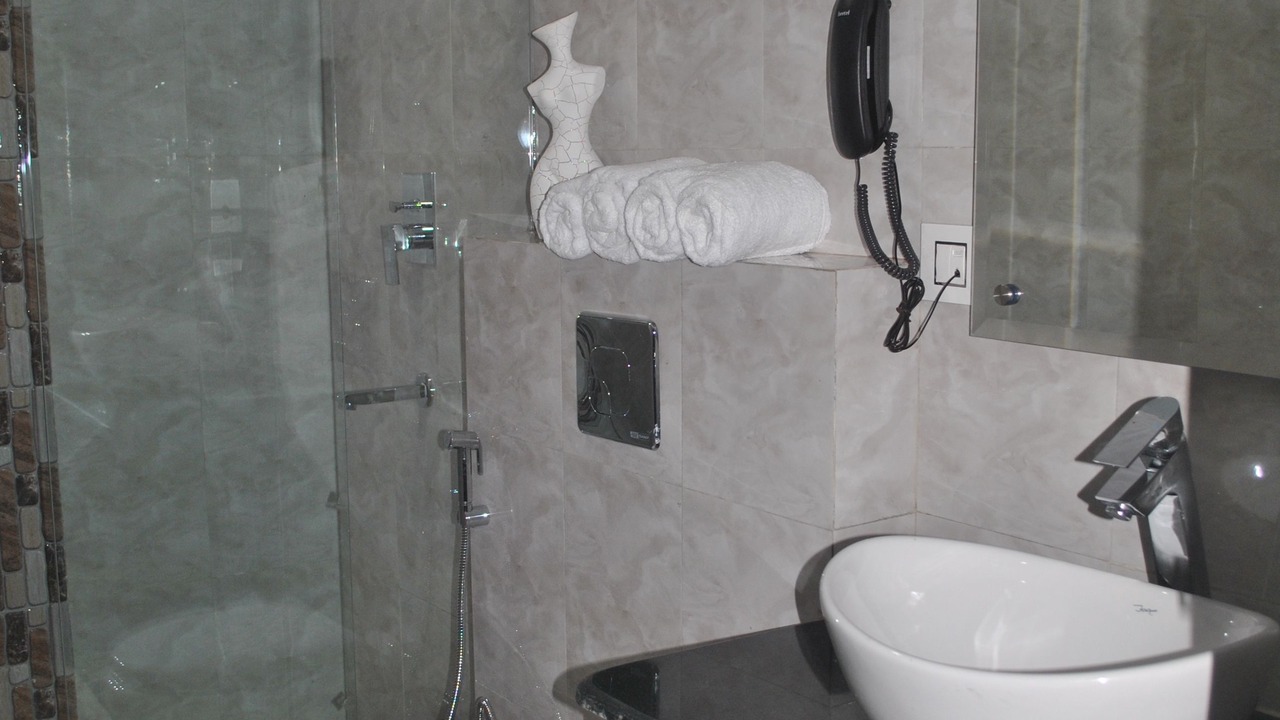 Photo of Bathroom in Bhagsu Nag