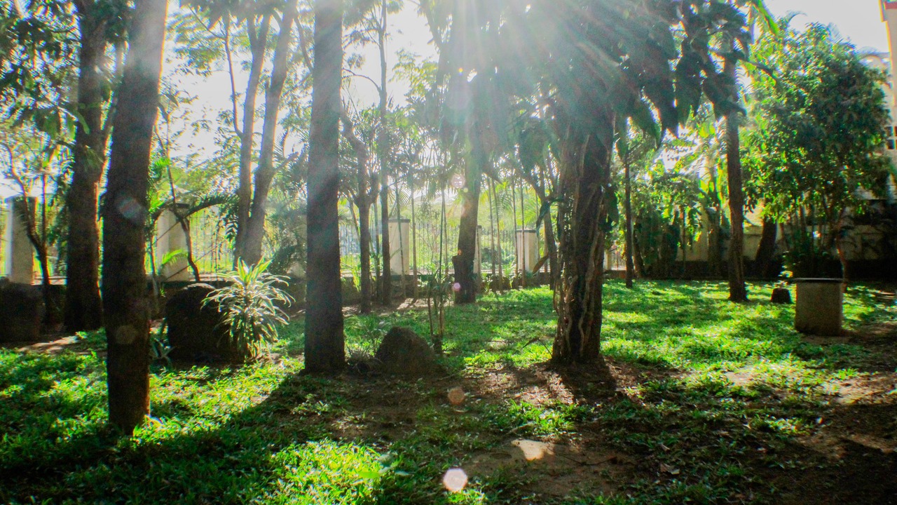 Photo of Outdoor in Lonavala