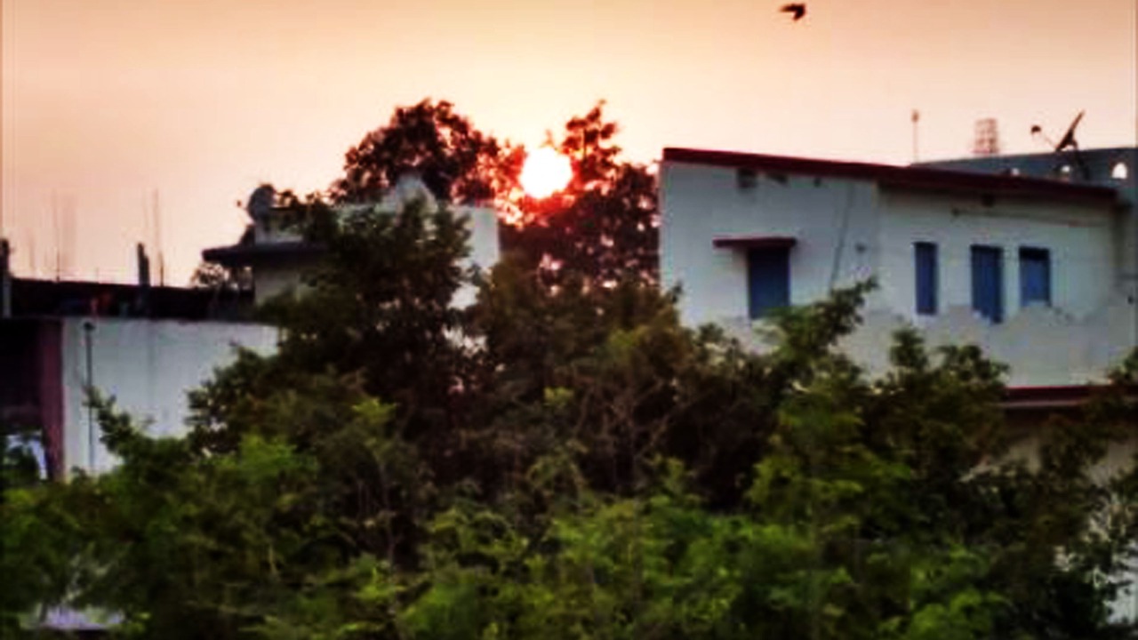 Photo of Others in Patna