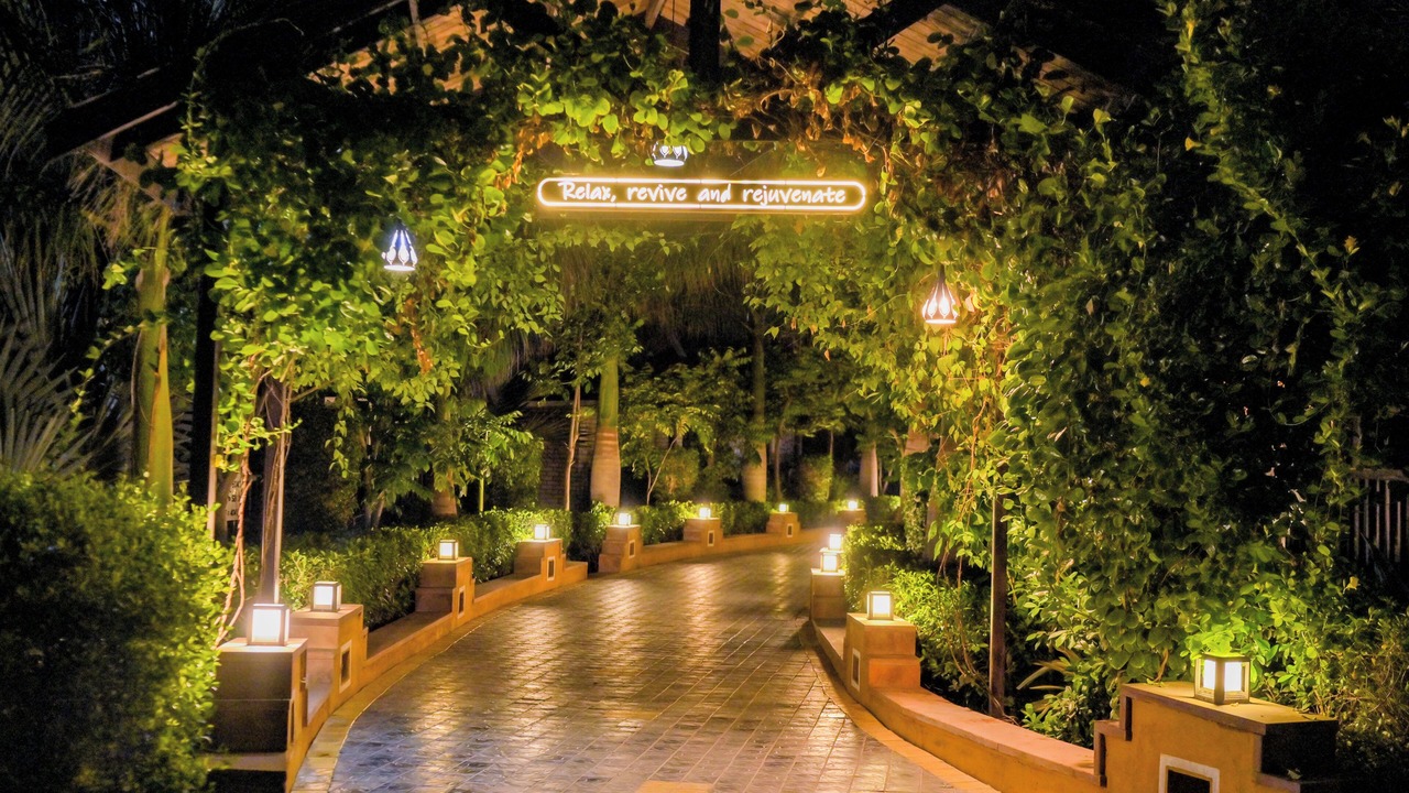 Photo of Outdoor in Wasda