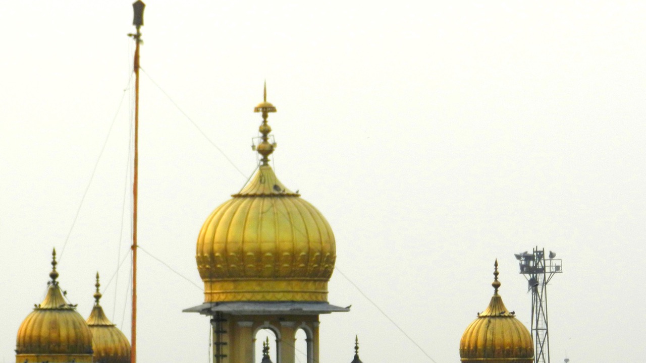 Photo of Others in Old Delhi