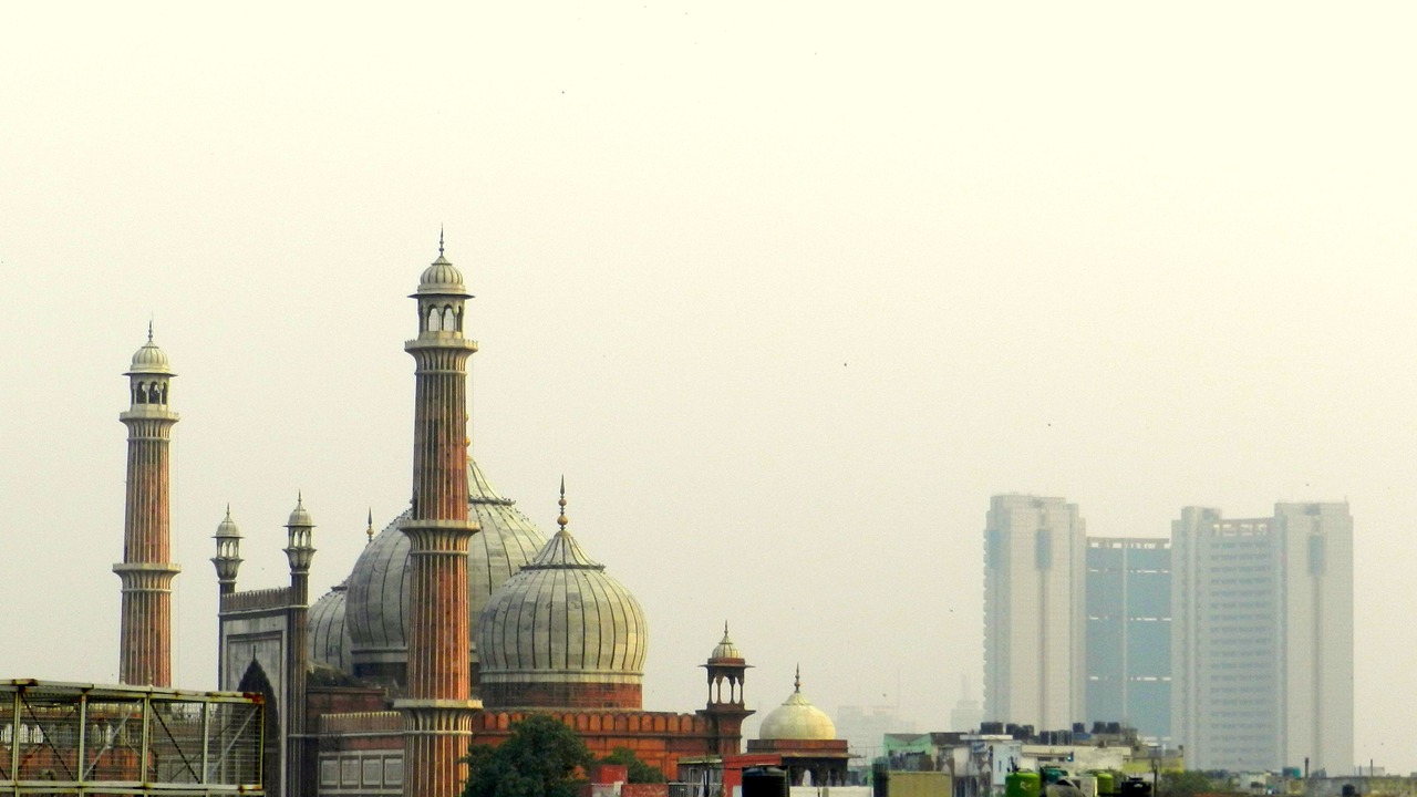 Photo of Others in Old Delhi