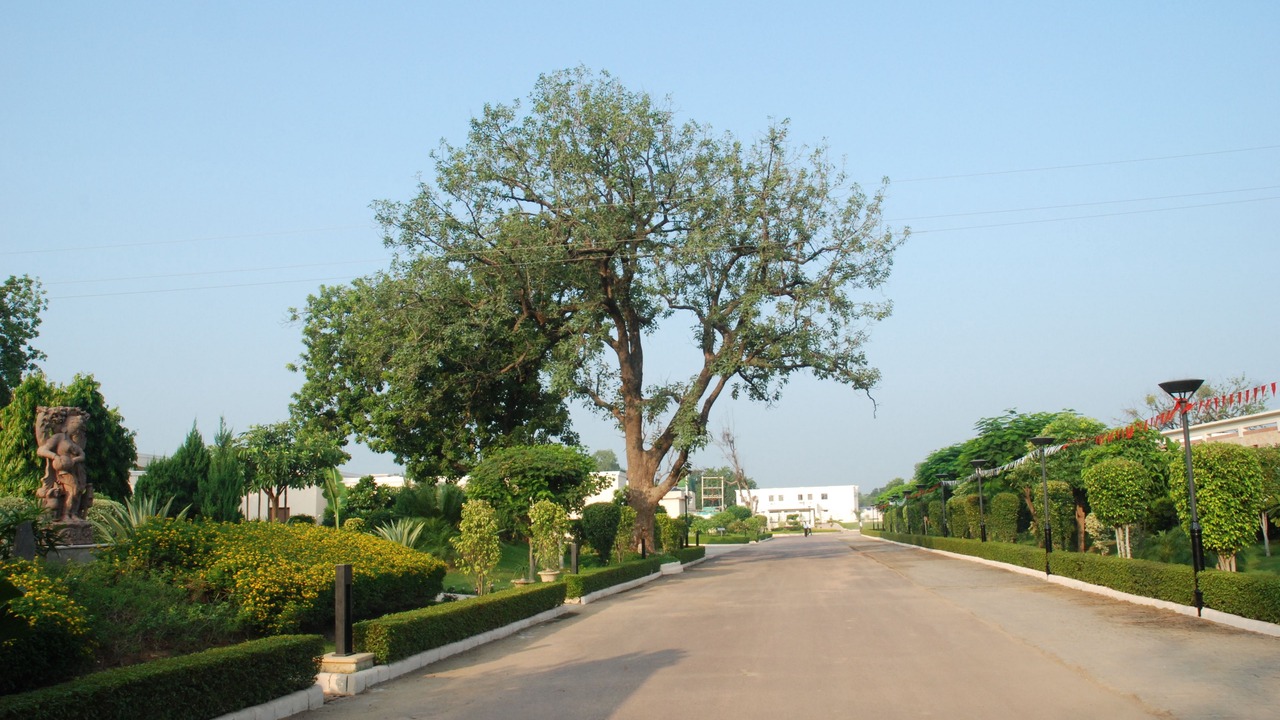 Photo of Others in Khajuraho