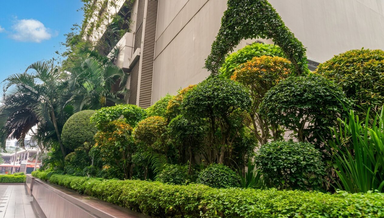 Photo of Outdoor in Gulshan