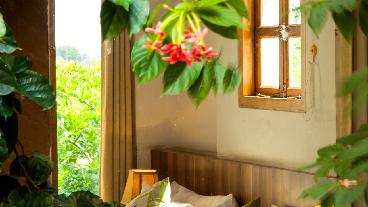 Photo of Patio Balcony in Ajmer