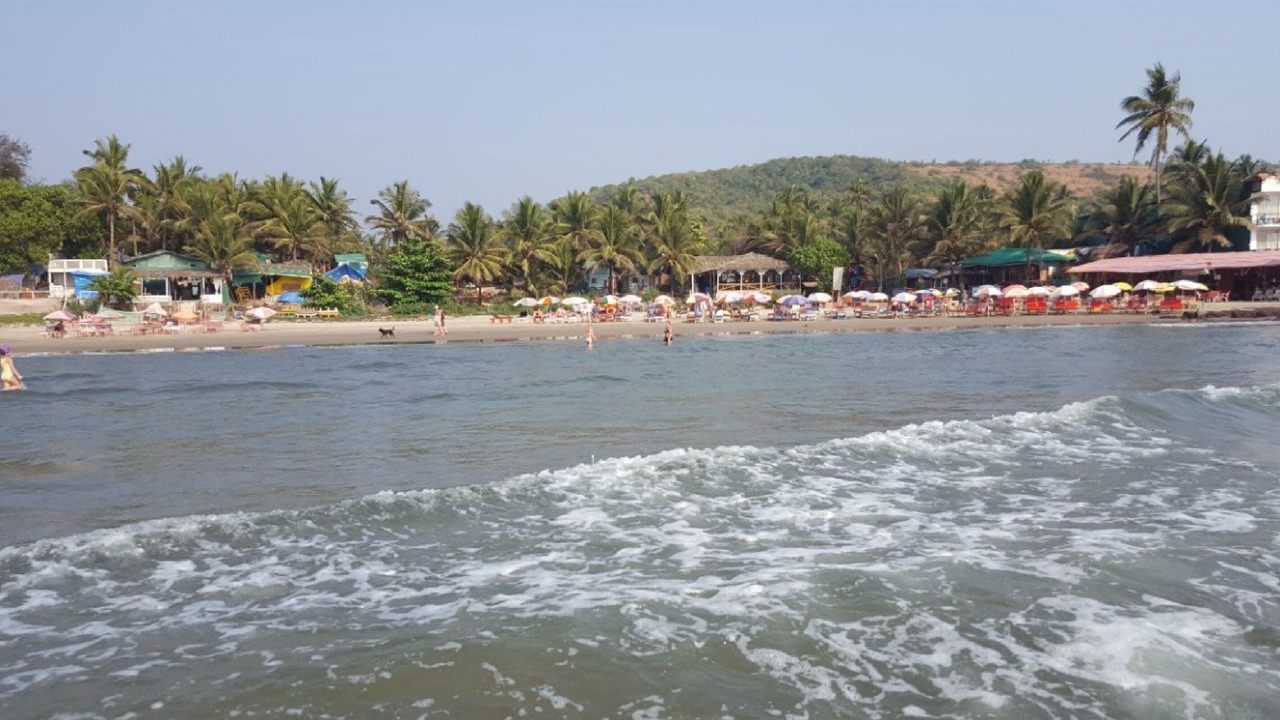 Photo of Others in Arpora