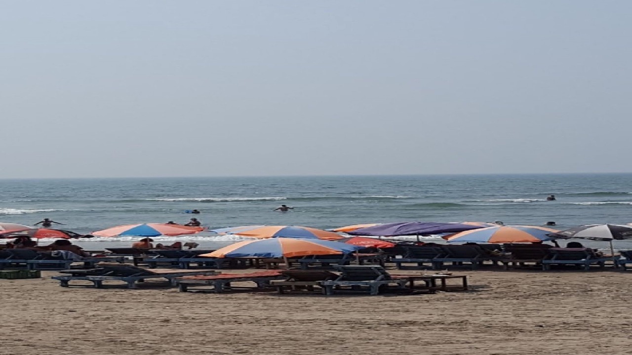 Photo of Others in Arpora
