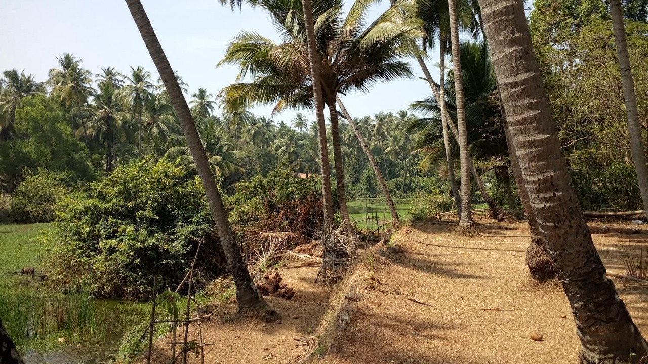 Photo of Outdoor in Marmagao