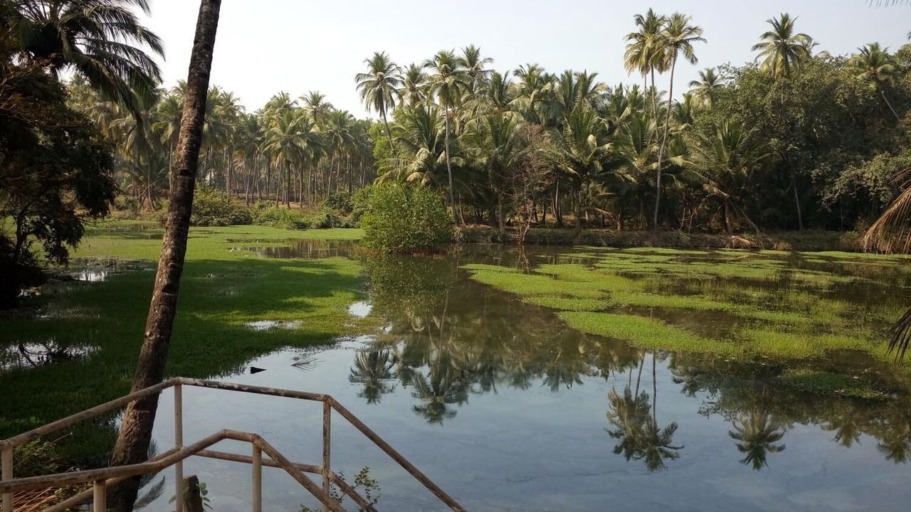 Photo of Outdoor in Marmagao