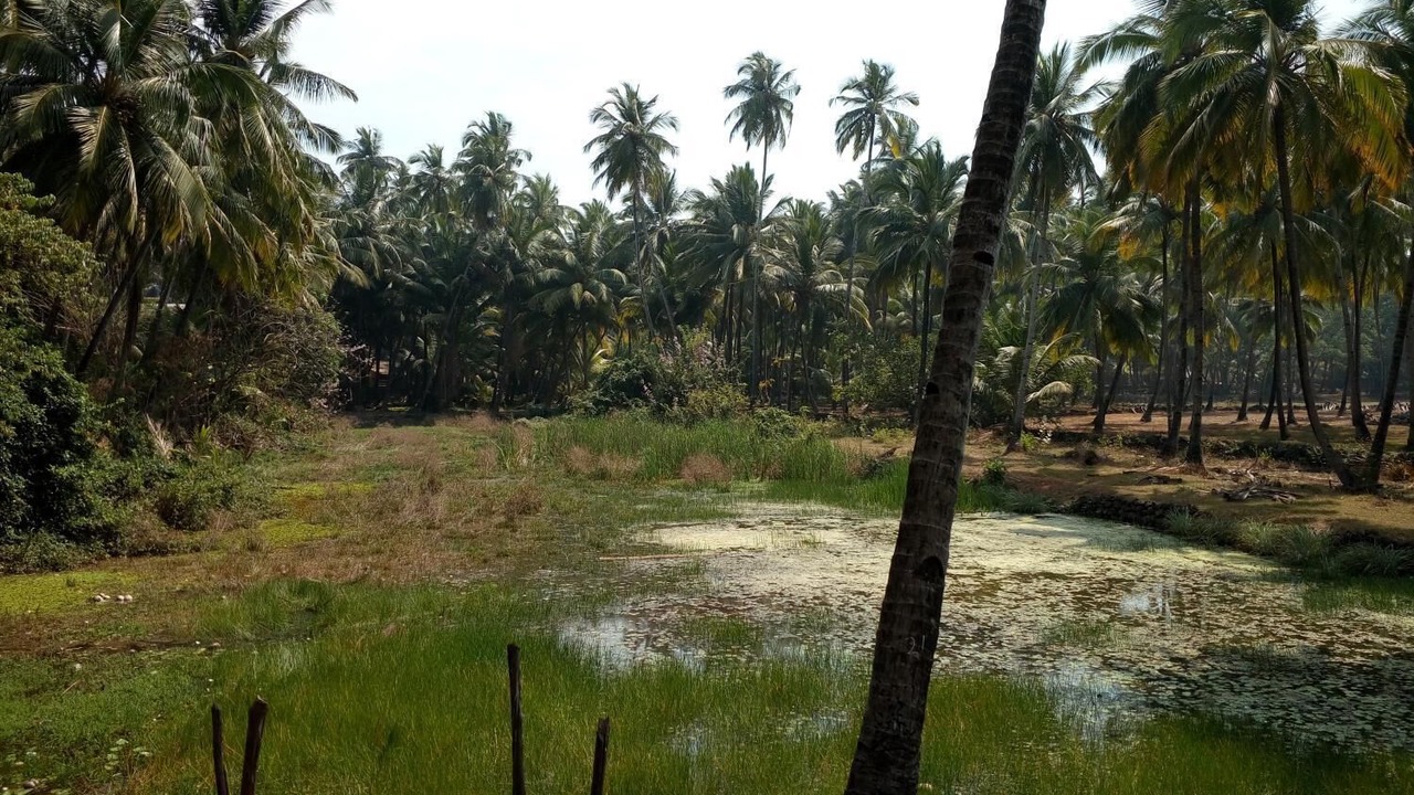 Photo of Outdoor in Marmagao