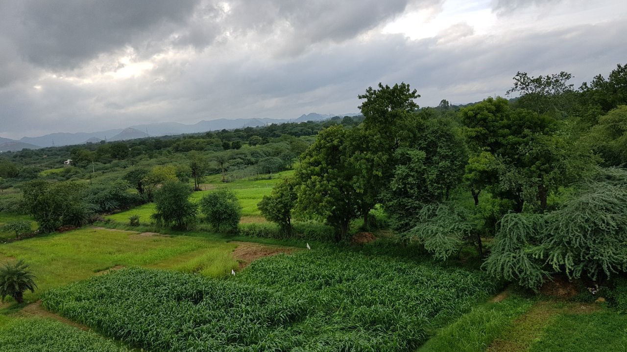 Photo of Outdoor in Dabok
