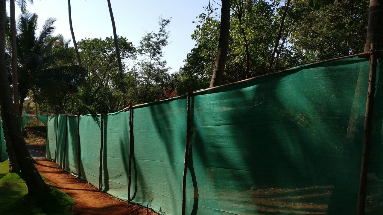 Photo of Outdoor in Mandrem