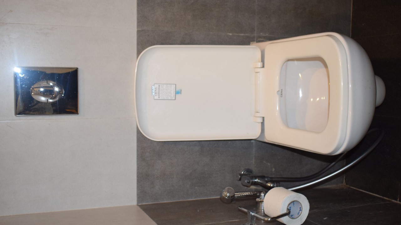 Photo of Bathroom in Bogmolo