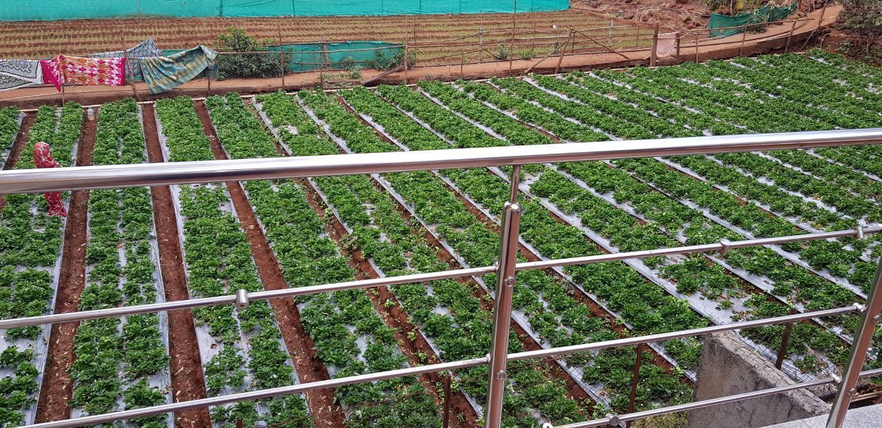 Photo of Outdoor in Panchgani
