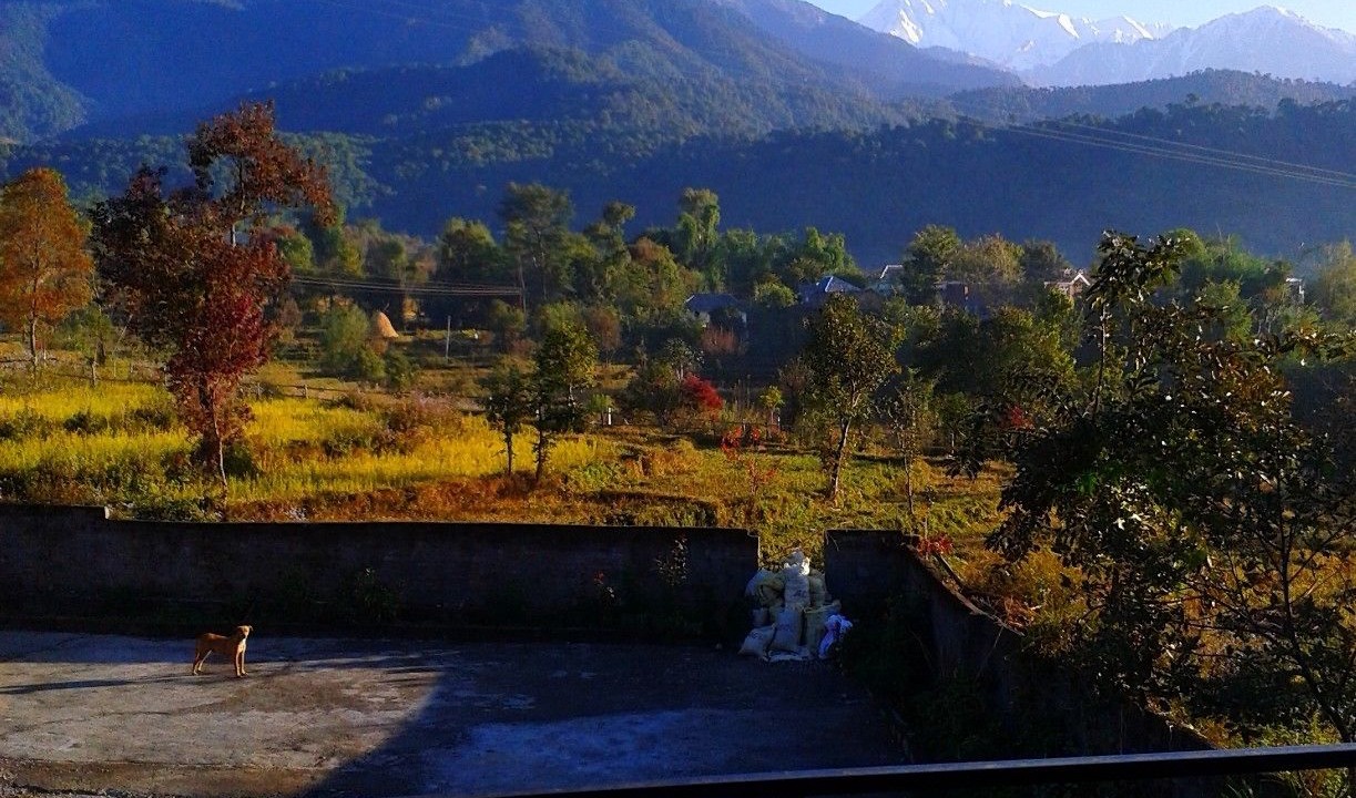 Photo of Others in Palampur