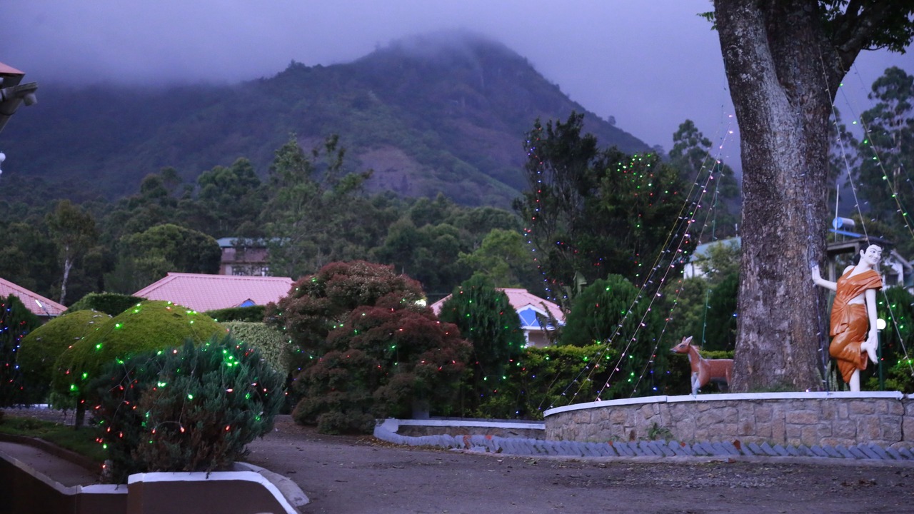 Photo of Others in Chinnakanal