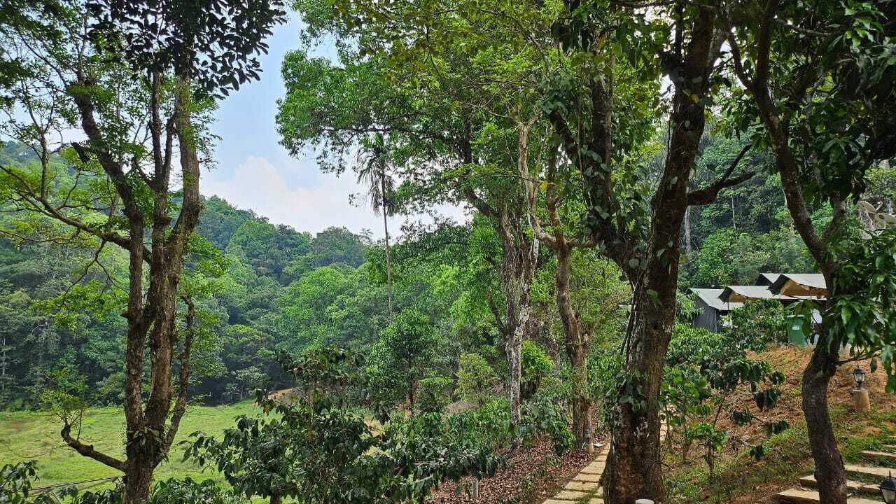 Photo of Outdoor in Madikeri