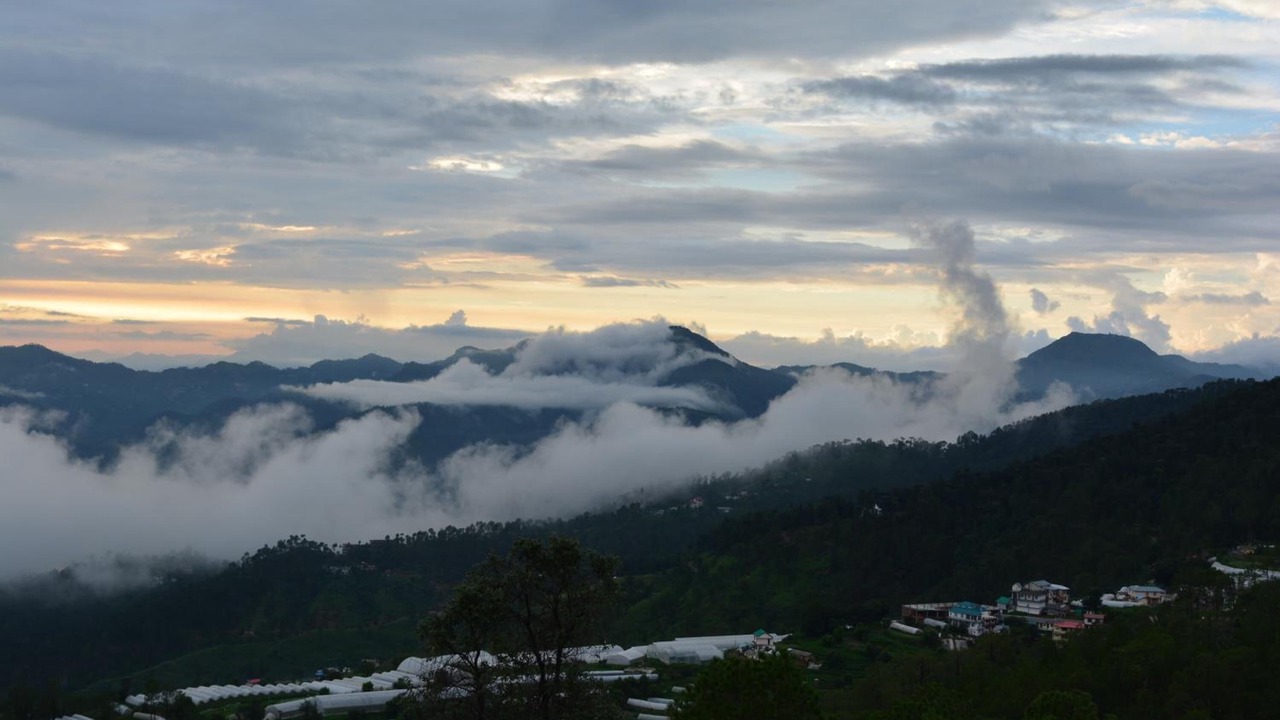 Photo of Others in Chail