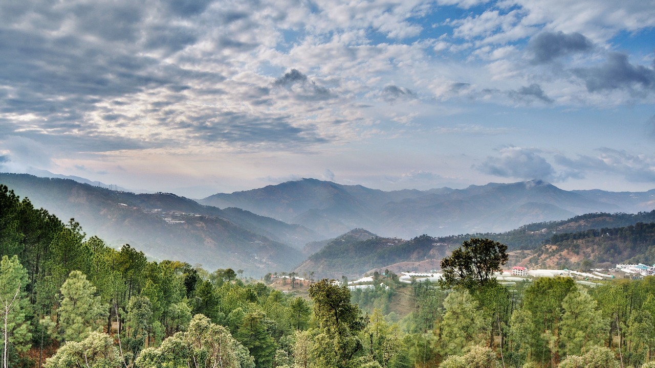 Photo of Others in Chail
