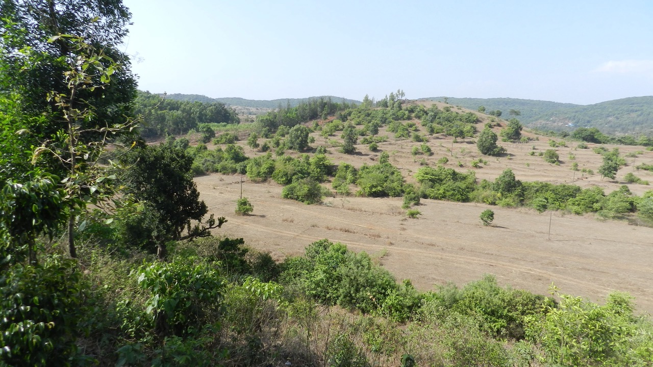 Photo of Others in Amba